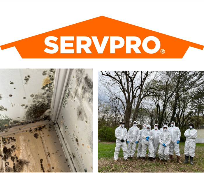 A collage with three images; SERVPRO orange logo, mold growth in a customer